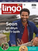 Lingo Newydd